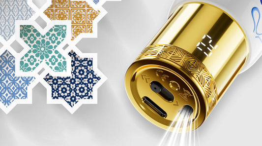 Florida's Crackdown on Disposable Vapes - Black Coral