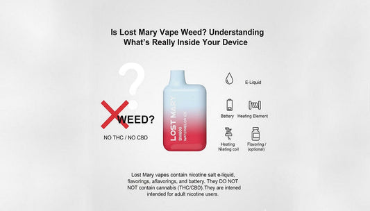 Is Lost Mary Vape Weed? Understanding What's Really Inside Your Device