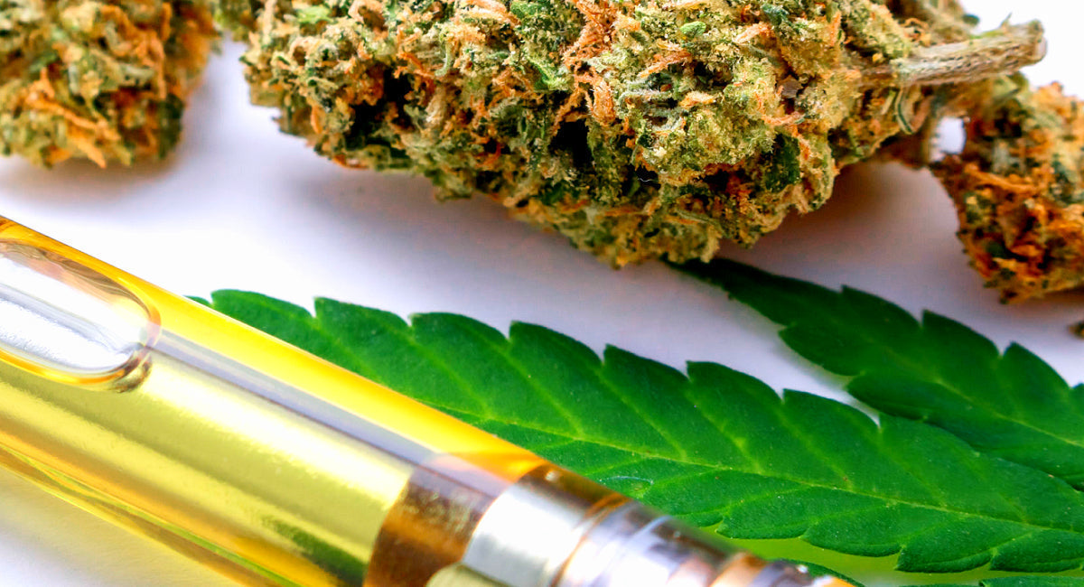 Unlocking the Mechanism: How Vape Cartridges Work - Black Coral