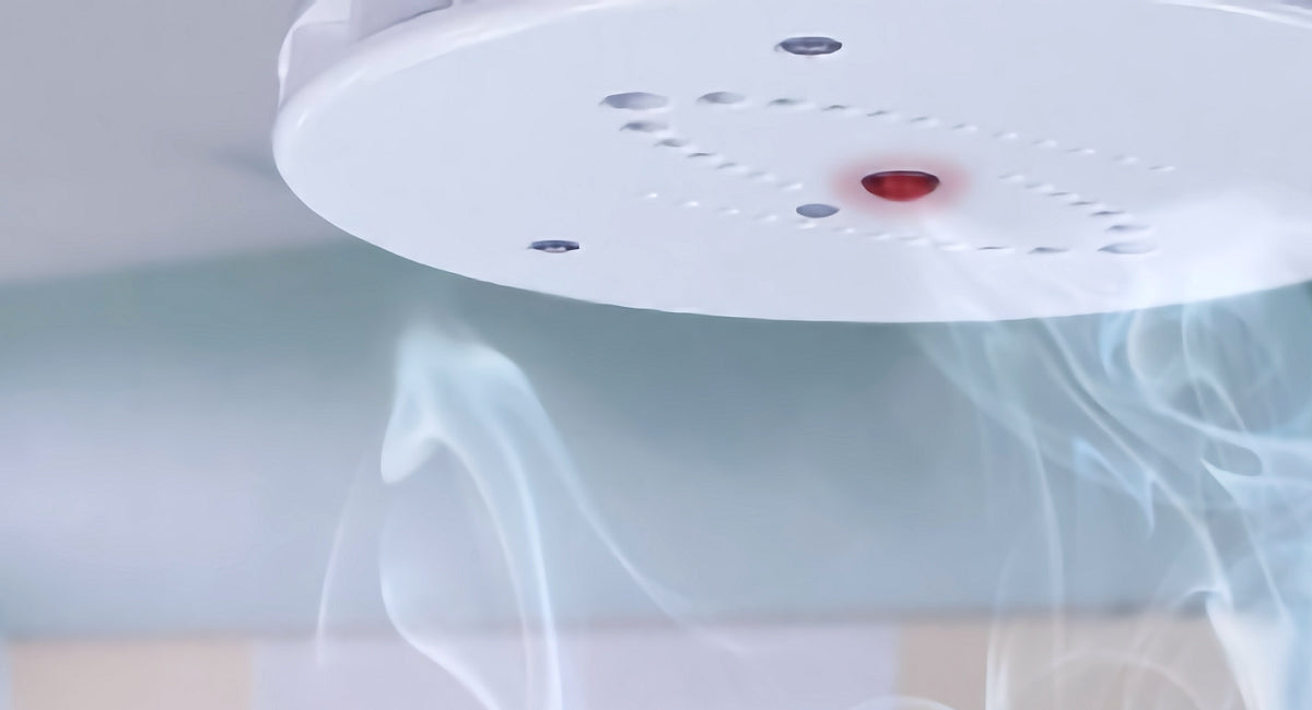 Behind the Detection: Understanding Vape Detectors - Black Coral