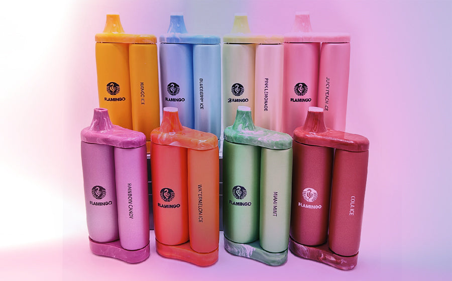 Flamingo Disposable Vape - Black Coral