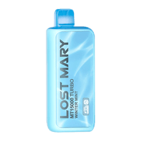 Winter Mint disposable vape - Lost Mary MT15000 Turbo 