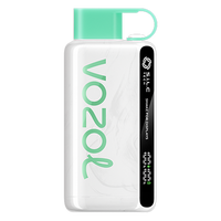Miami-Mint-Vozol-Star-9000-454x454-1-PNG