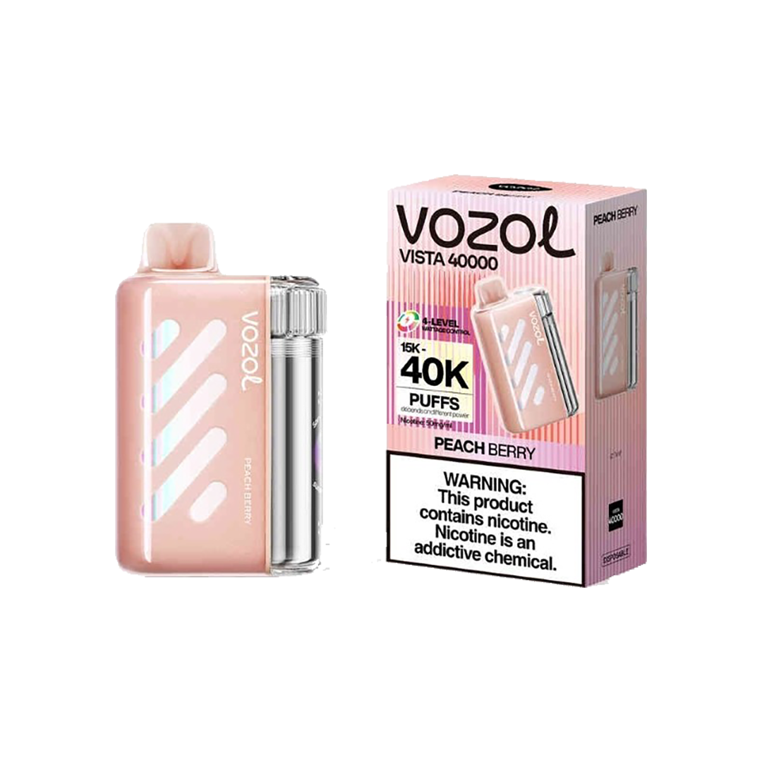 Peach Ice Vozol Vista 40000 - Black Coral