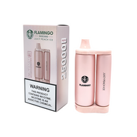Juicy Peach Ice Flamingo SKB25000 disposable vape packaging