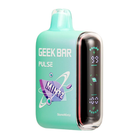 StoneMintz Disposable Vape - Geek Bar Pulse 15000 