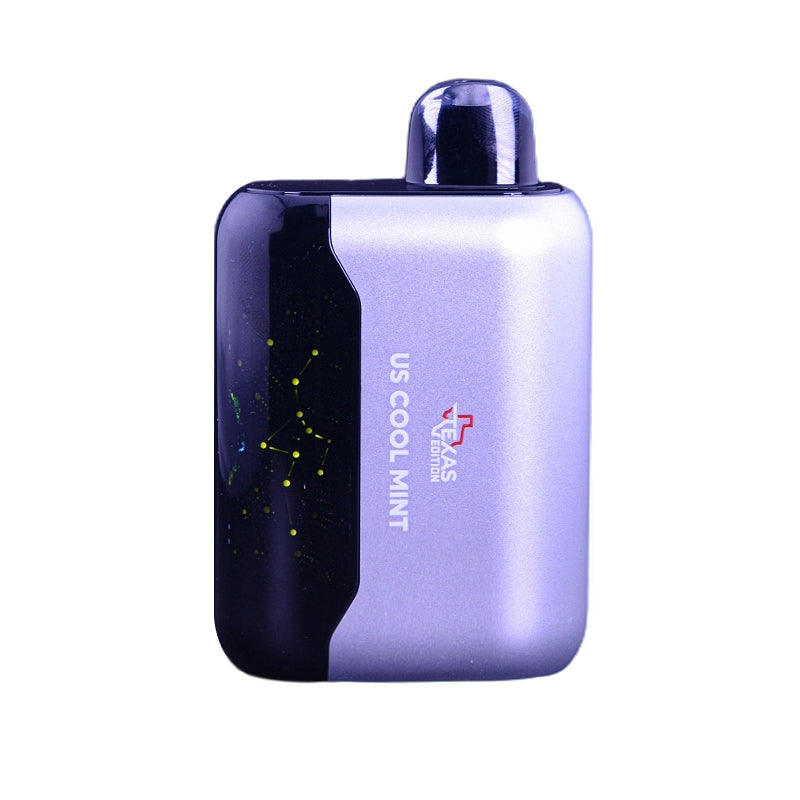 US Cool Mint - Geek Bar USA Disposable Vape
