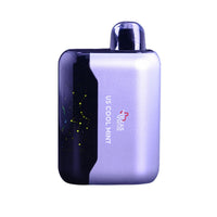 US Cool Mint - Geek Bar USA Disposable Vape