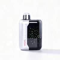 US Miami MInt - Geek Bar USA Disposable Vape