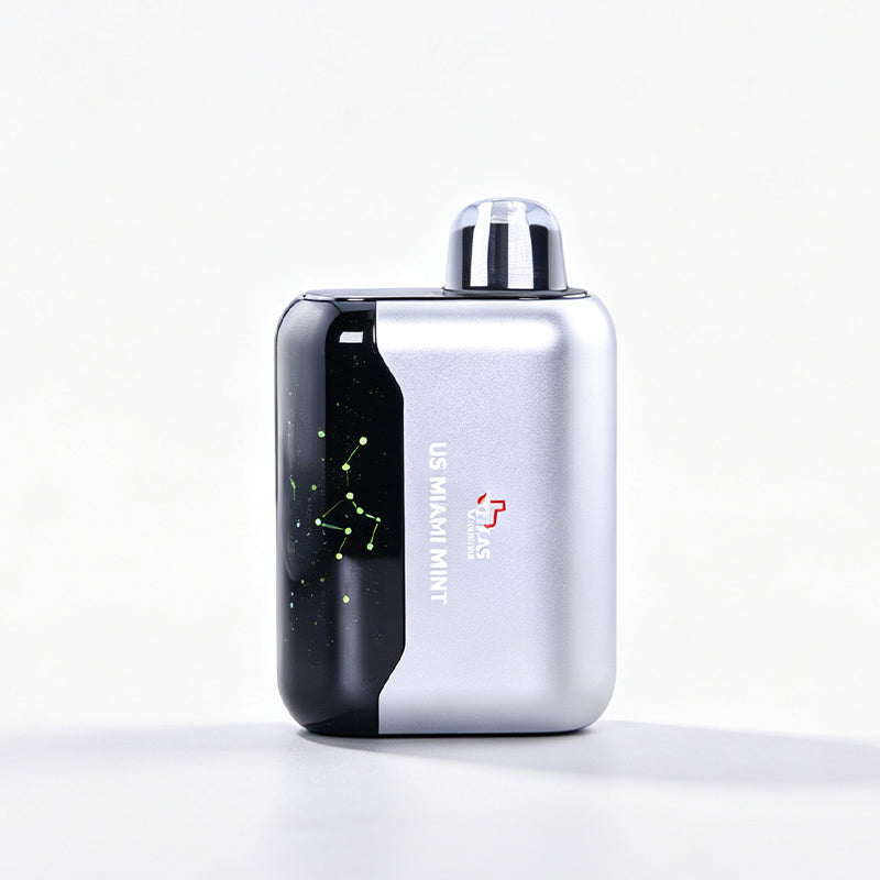 US Miami MInt - Geek Bar USA Disposable Vape