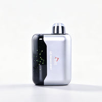 US Miami MInt - Geek Bar USA Disposable Vape