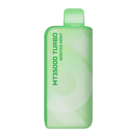 Winter Mint Lost Mary MT35000 Turbo Disposable Vape