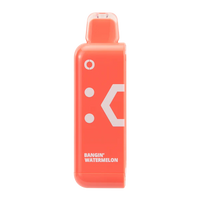 Bangin’ Watermelon Disposable Vape - Off Stamp Classic Cube 25K Pod