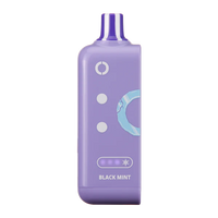Black Mint Disposable Vape - Off Stamp Ice Cube 25K Pod