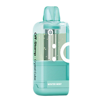 Winter Mint Disposable Vape - Off-stamp X-cube Crystal 35K