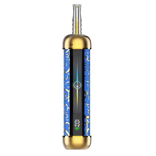 Blueberry Mint - Olit Hookalit Pro 60K | Online Vape Shop